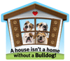 Bulldog thumbnail