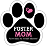 Foster Mom thumbnail