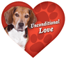 Unconditional Love - Beagle thumbnail