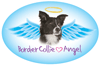 Pet Angel - Border Collie thumbnail