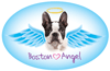 Pet Angel - Boston thumbnail