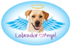 Pet Angel - Labrador (yellow) thumbnail