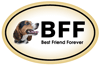 BFF-Beagle thumbnail