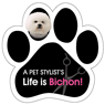 A Pet Stylist's Life is Bichon! thumbnail