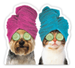 Dog and Cat with Towel thumbnail
