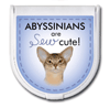 Abyssinians are "sew" cute! thumbnail