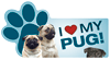 I love my Pug! thumbnail