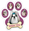Shih Tzu (purple) thumbnail
