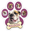 Bulldog (purple) thumbnail