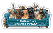 Adopted Couch Pawtato thumbnail