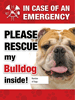 Emergency - Bulldog thumbnail