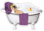 Spa Dog in Tub (purple towel) thumbnail