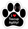 Teacup Agility thumbnail
