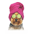 Yorkie with Towel (pink) thumbnail
