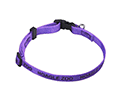 Purple thumbnail