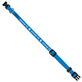 Electric Blue thumbnail