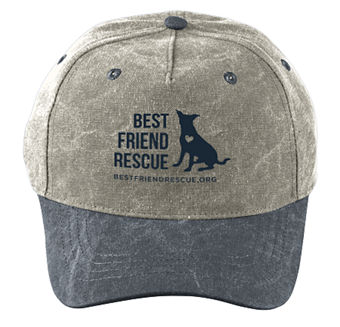 Sand Cap / Charcoal Gray Bill thumbnail