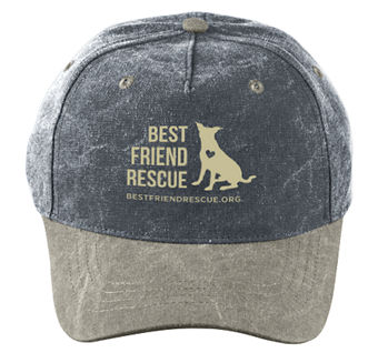 Charcoal Gray Cap / Sand Bill thumbnail