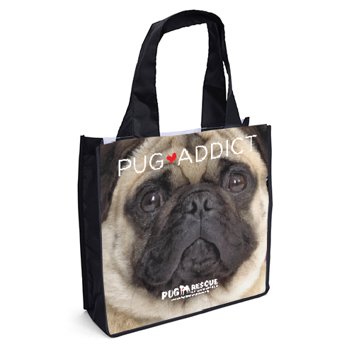 Pug thumbnail