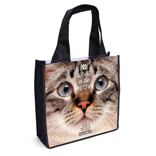 Cat thumbnail