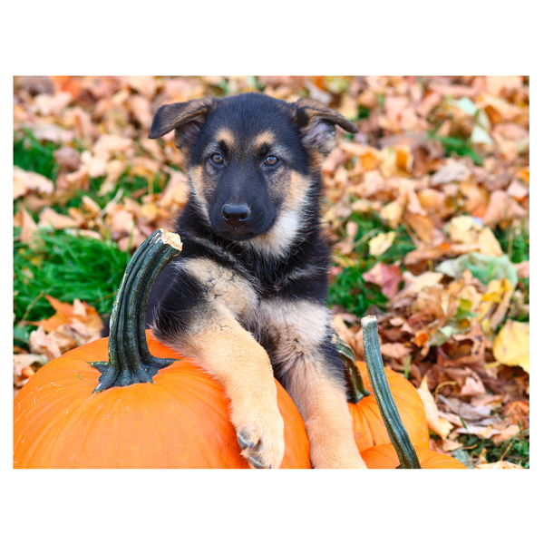 October thumbnail