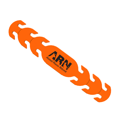 Orange thumbnail