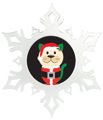 Santa Cat thumbnail