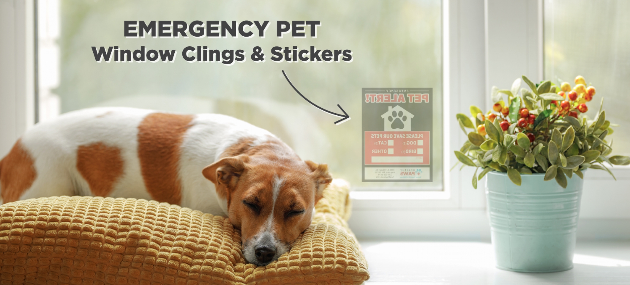 Emergency Pet Clings