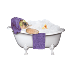 Spa Dog in Tub (purple) thumbnail