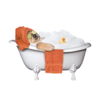 Spa Dog in Tub (orange) thumbnail