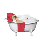 Spa Dog in Tub (red) thumbnail