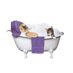 Spa Dog and Kitty (purple) thumbnail