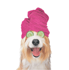 Dog with Towel (pink) thumbnail