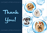 Dogs in Bubbles Card thumbnail