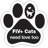 FIV+ Cats thumbnail