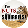 I'm nuts about Squirrels! thumbnail
