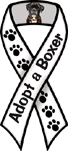 Boxer - Adopt thumbnail