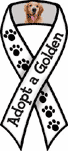 Golden Retriever - Adopt thumbnail