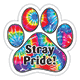 Stray Pride thumbnail