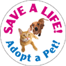 Save a Life - Adopt A Pet 2 thumbnail