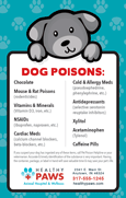 Dog Poisons thumbnail