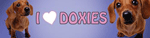 I love Doxies Bumper thumbnail