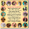 Prayer Magnet - Dogs & Cats thumbnail