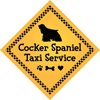 Cocker Spaniel Taxi Service thumbnail