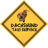 Dachshund Taxi Service thumbnail