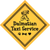 Dalmatian Taxi Service thumbnail