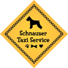 Schnauzer Taxi Service thumbnail