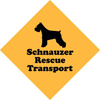 Schnauzer Rescue Transport thumbnail