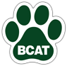 Fast CAT - BCAT thumbnail