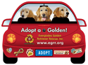 Red (goldens) thumbnail